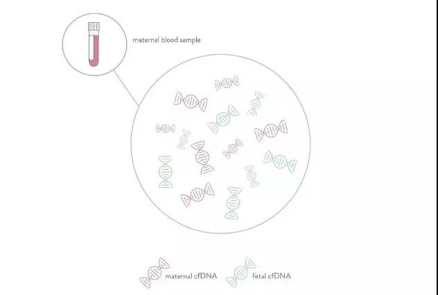 去中医院做产检的姐妹们都很慎重!我很后悔!